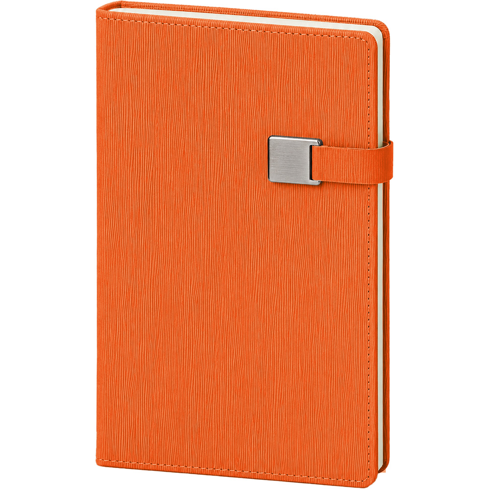 Tarihsiz Defter, Turuncu