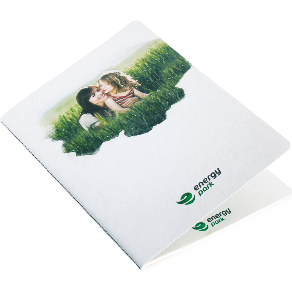 Tarihsiz Defter, 