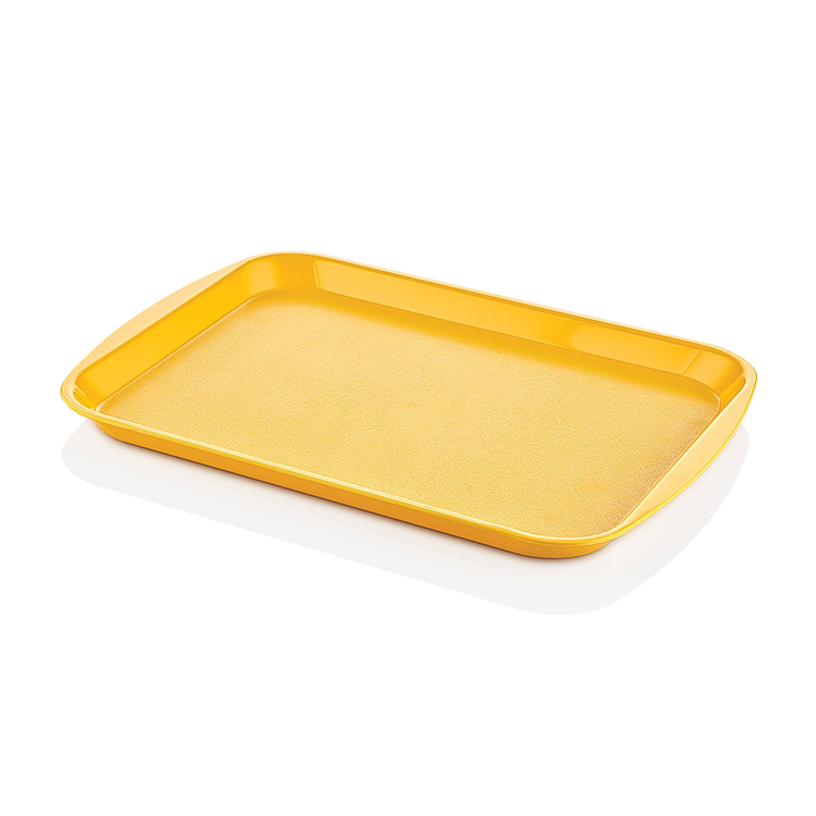 ABS PLASTiK TEPSi
