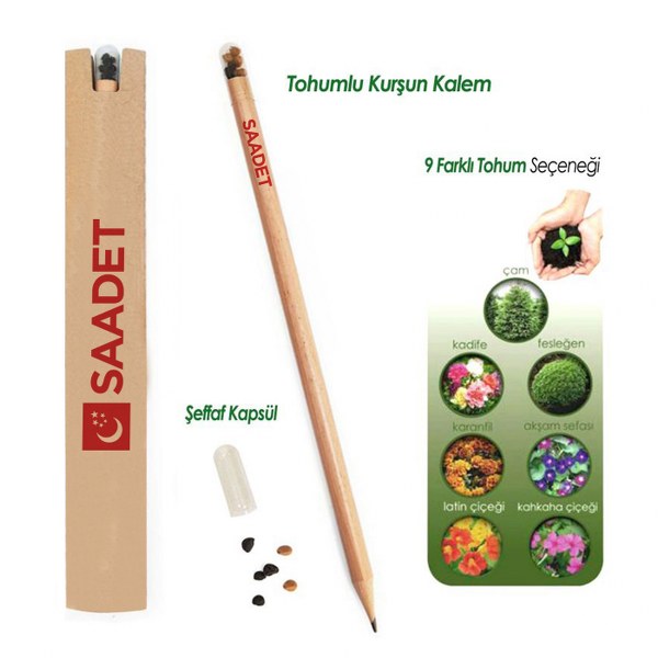 Şeffaf Kapsüllü Tohumlu Kurşun Kalem